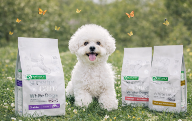 Сухий корм для собак білих порід: як обрати і уникнути слізних плям