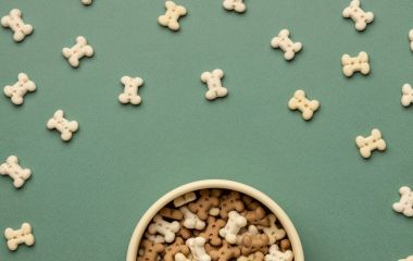Ласощі для собак Ласощі для собак