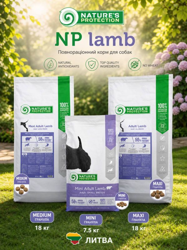 Nature's Protection Maxi Adult Lamb Сухий корм для дорослих собак великих порід з ягнятиною